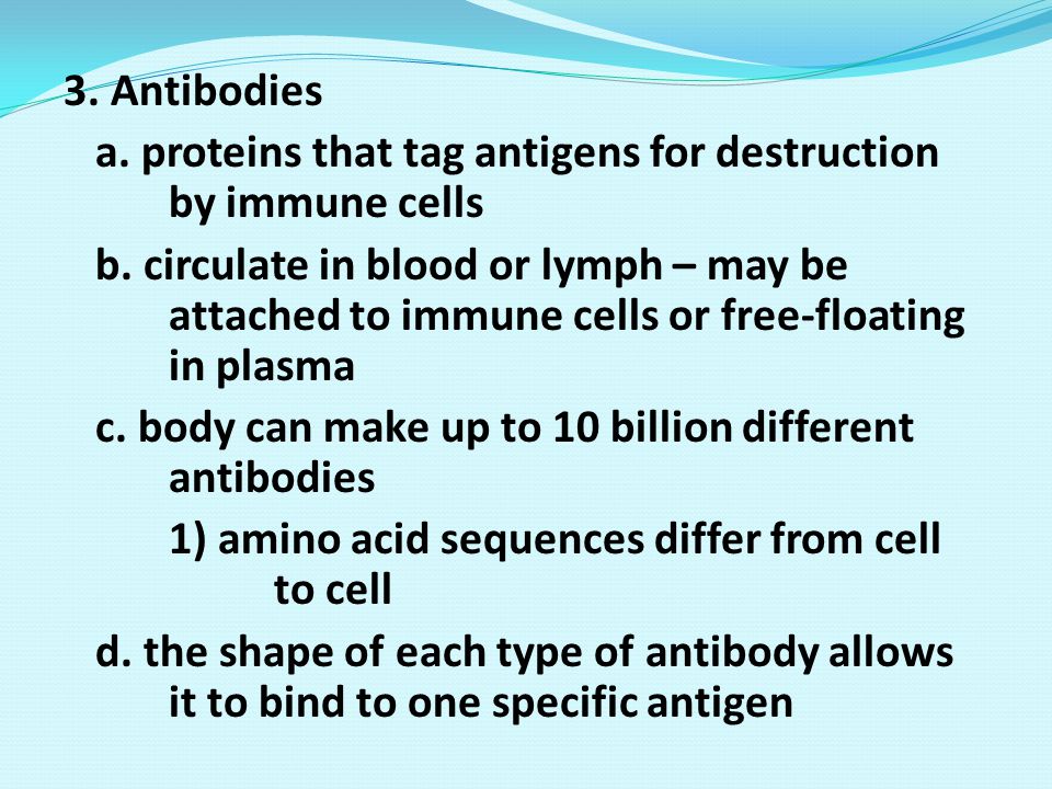 3. Antibodies a. proteins that tag antigens for destruction by immune cells b.