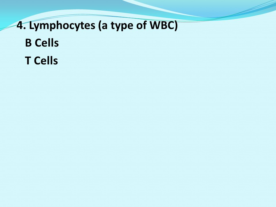4. Lymphocytes (a type of WBC) B Cells T Cells