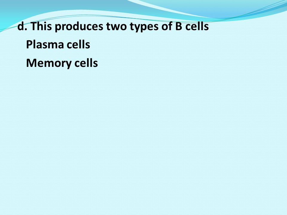 d. This produces two types of B cells Plasma cells Memory cells