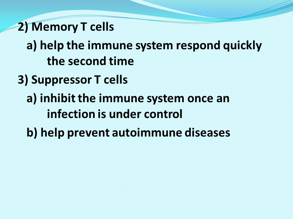 2) Memory T cells a) help the immune system respond quickly the second time. 3) Suppressor T cells.