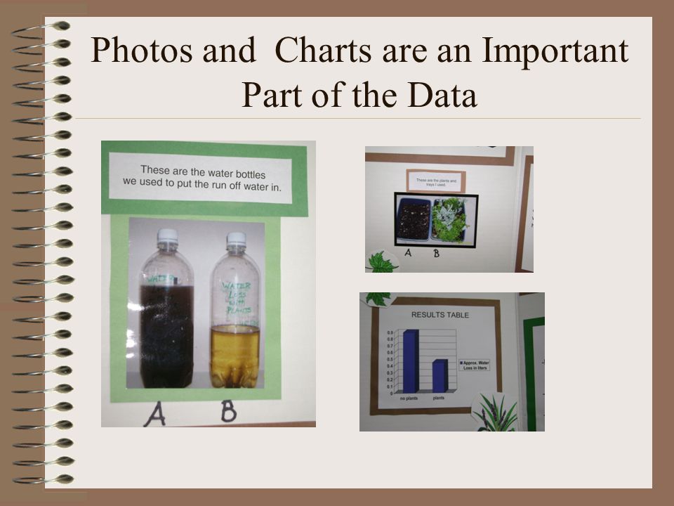 Photos and Charts are an Important Part of the Data