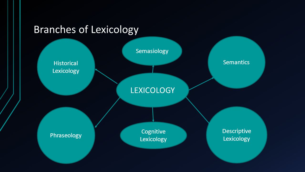 Connecting the dost 2. Branches of Lexicology. Branches of Linguistics презентация. Name the Branches of Lexicology. Lexicology of English language.