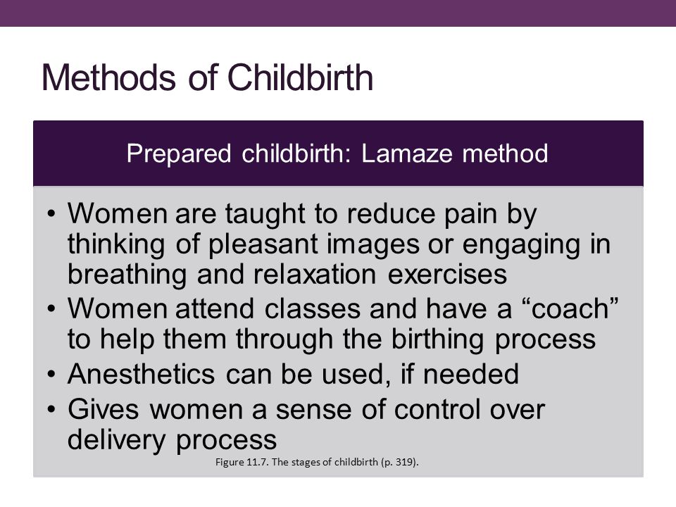 Conception, Pregnancy, and Childbirth - ppt video online download Conception, Pregnancy, and Childbirth - ppt video online download