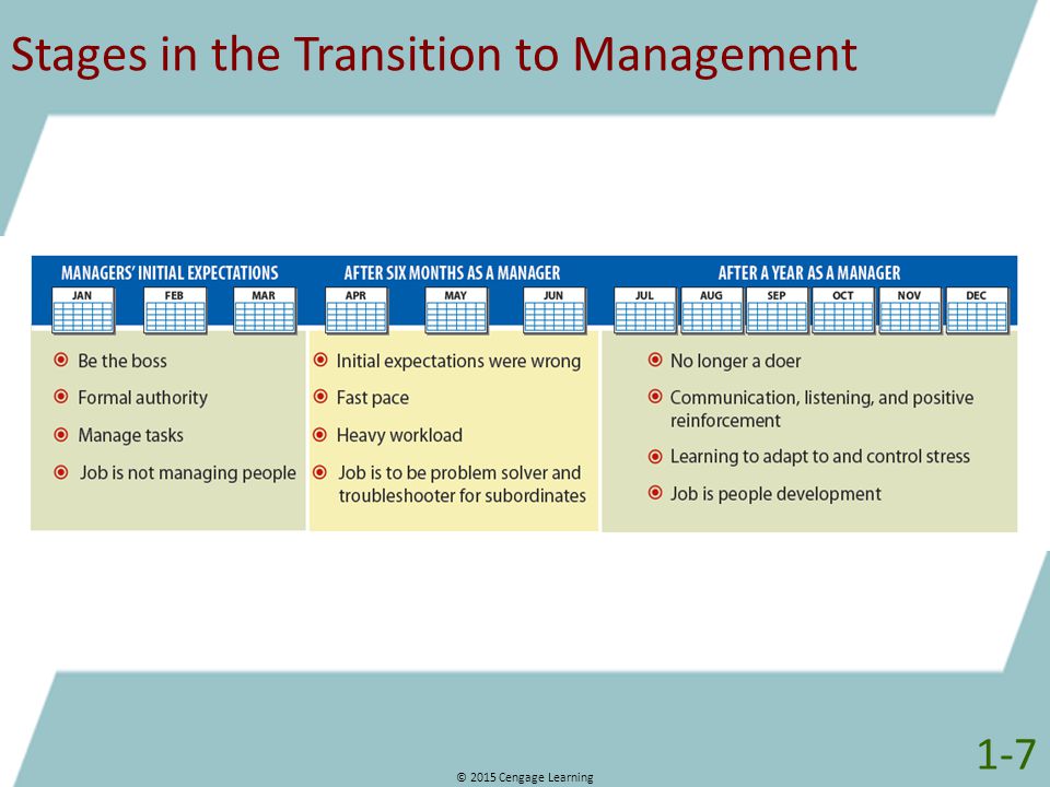 Stages in the Transition to Management