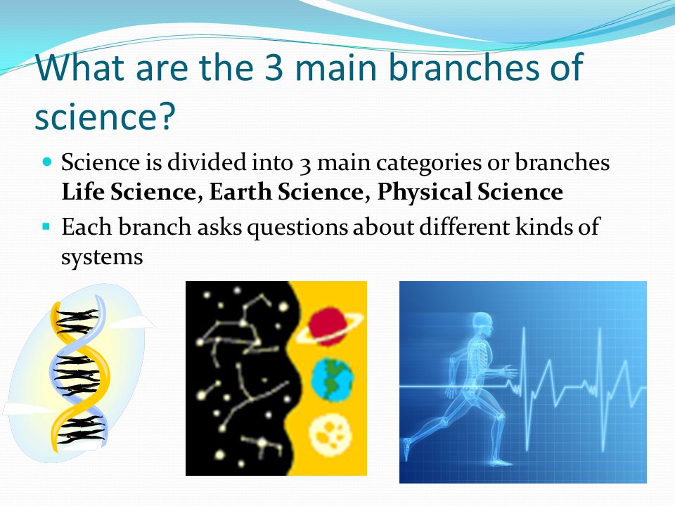 What are the 3 main branches of science