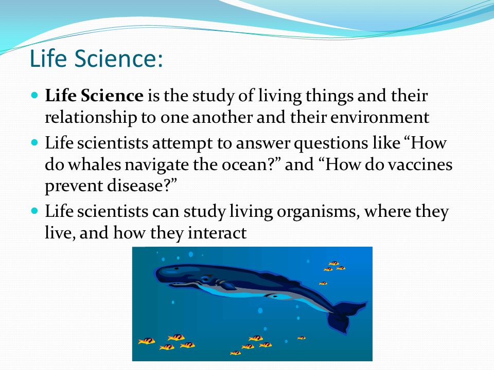Life Science: Life Science is the study of living things and their relationship to one another and their environment.