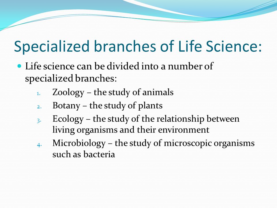 Specialized branches of Life Science: