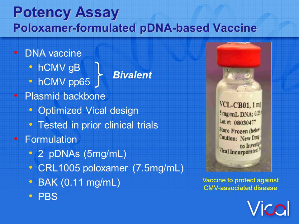 POTENCY ASSAYS FOR PLASMID-BASED VACCINES AND THERAPEUTICS - ppt video  online download