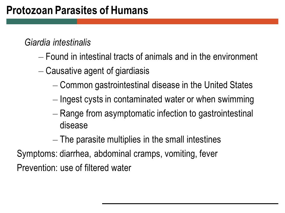 Parasitic Diseases Protozoan and helminthic parasites exist worldwide - ppt  video online download