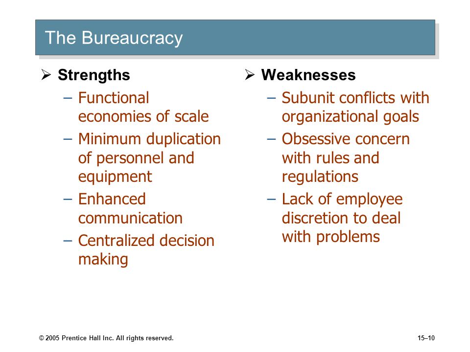 The Bureaucracy Strengths Functional economies of scale