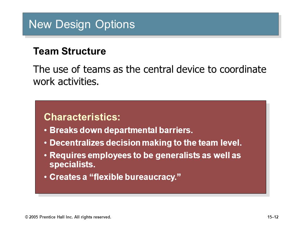 New Design Options Team Structure