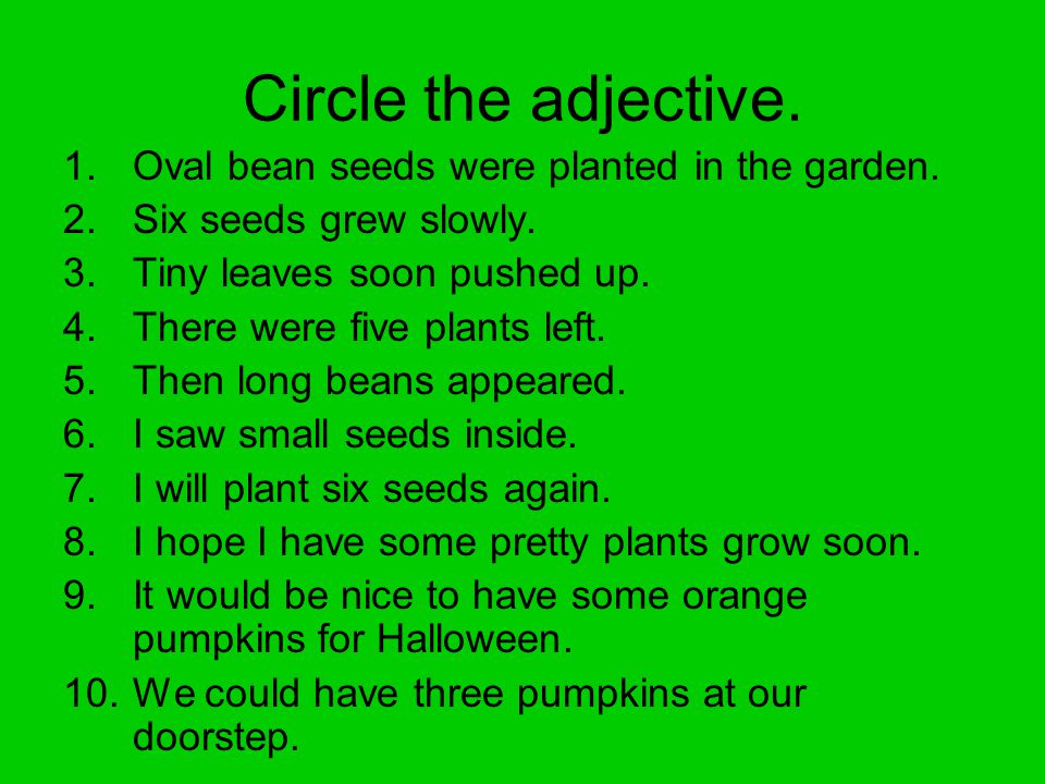 Adjectives Day Ppt Download