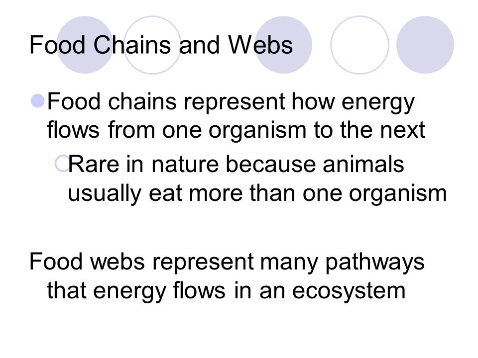 Food Chains and Webs Food chains represent how energy flows from one organism to the next.