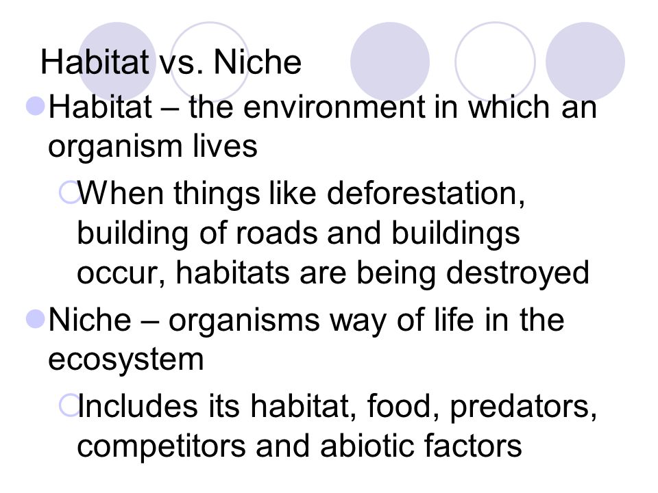 Habitat vs. Niche Habitat – the environment in which an organism lives