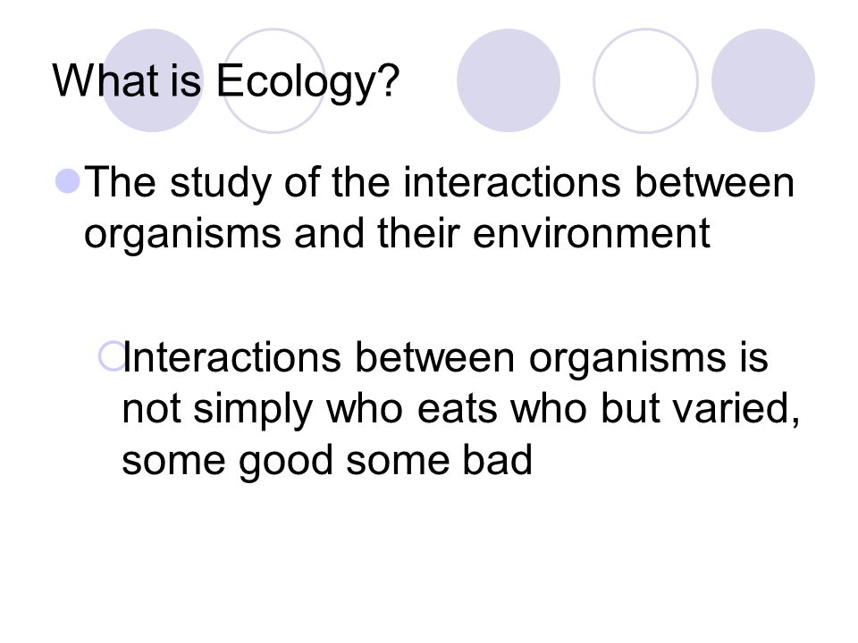 What is Ecology The study of the interactions between organisms and their environment.