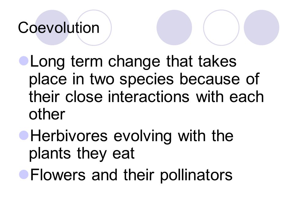 Herbivores evolving with the plants they eat
