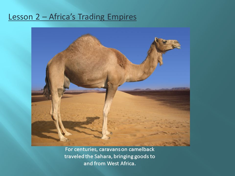 Lesson 2 – Africa’s Trading Empires