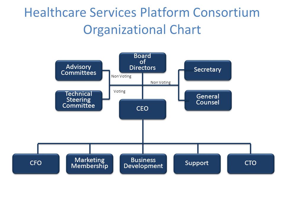 Healthcare Marketing Organizational Chart