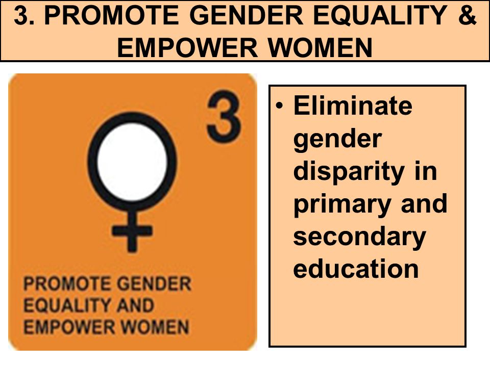 3. PROMOTE GENDER EQUALITY & EMPOWER WOMEN