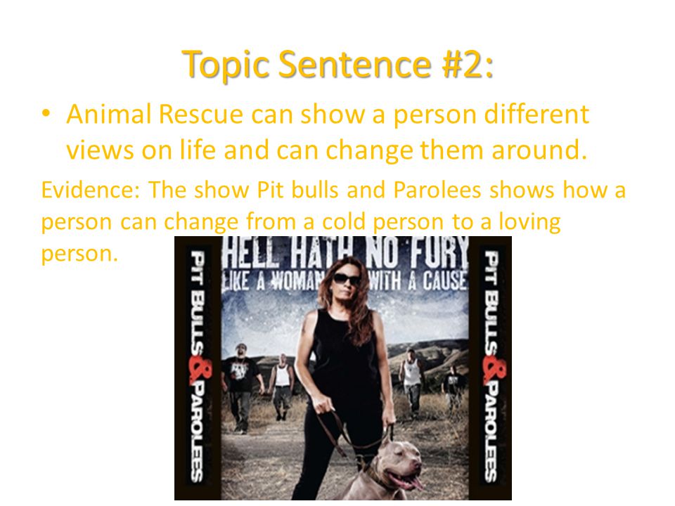 Topic Sentence #2: Animal Rescue can show a person different views on life and can change them around.