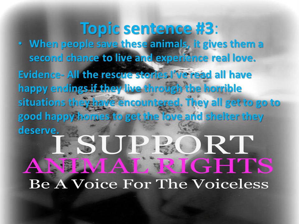 Topic sentence #3: When people save these animals, it gives them a second chance to live and experience real love.