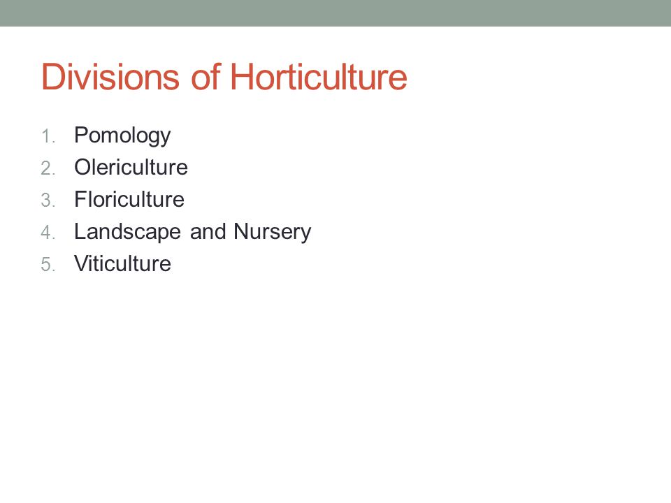 4 division de l'horticulture