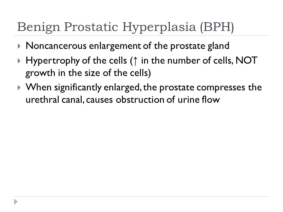 Benign prostatic hyperplasia introduction, Browse in Medical and Health Sciences | AKJournals