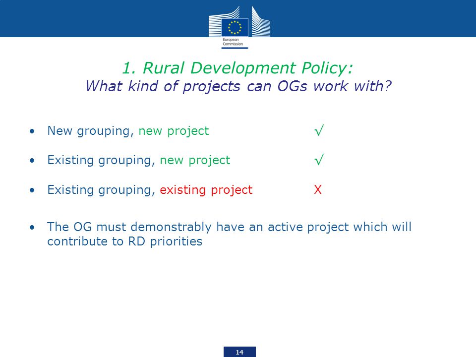 1. Rural Development Policy: What kind of projects can OGs work with