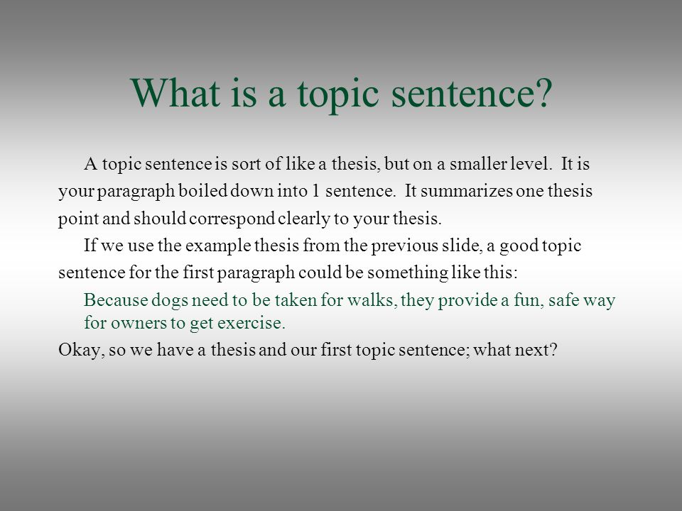 What is a topic sentence