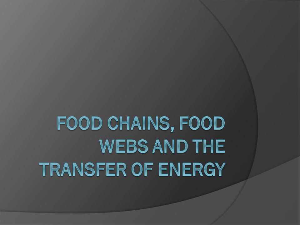 Food chains, food webs and the transfer of energy
