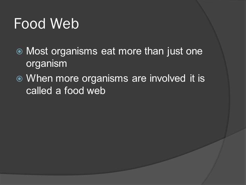 Food Web Most organisms eat more than just one organism