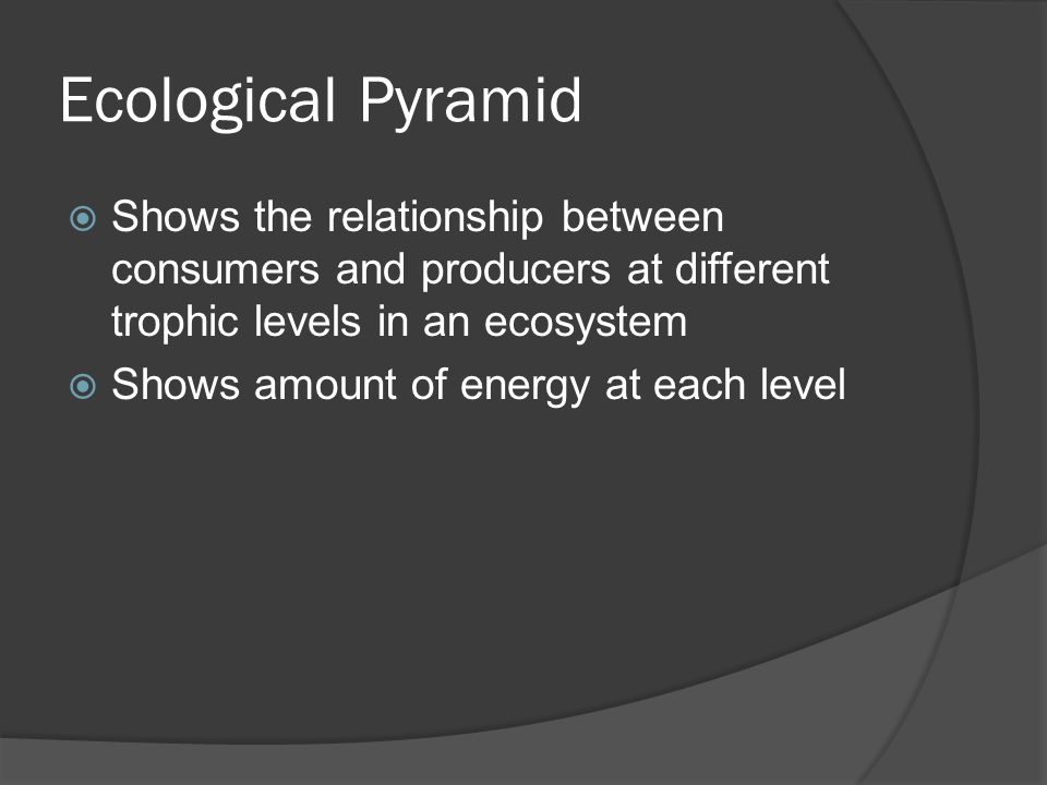 Ecological Pyramid Shows the relationship between consumers and producers at different trophic levels in an ecosystem.