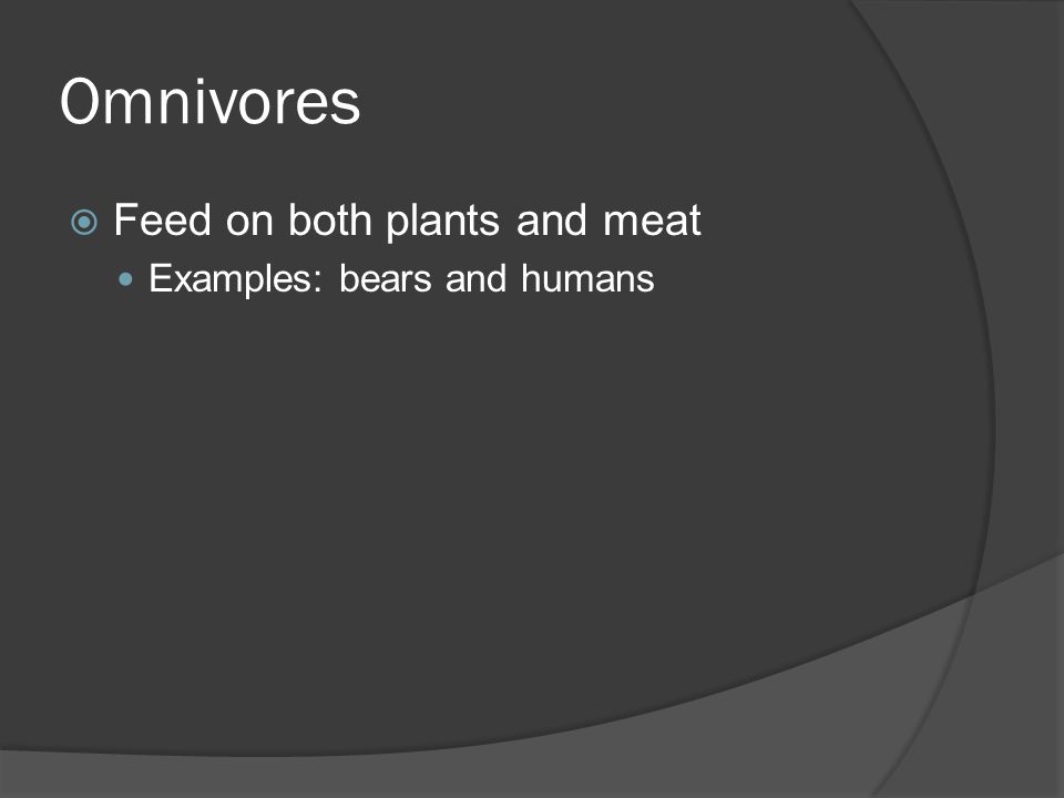 Omnivores Feed on both plants and meat Examples: bears and humans