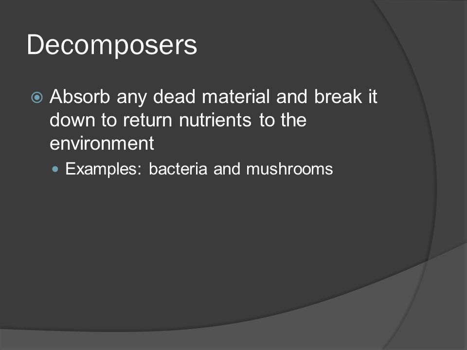 Decomposers Absorb any dead material and break it down to return nutrients to the environment.