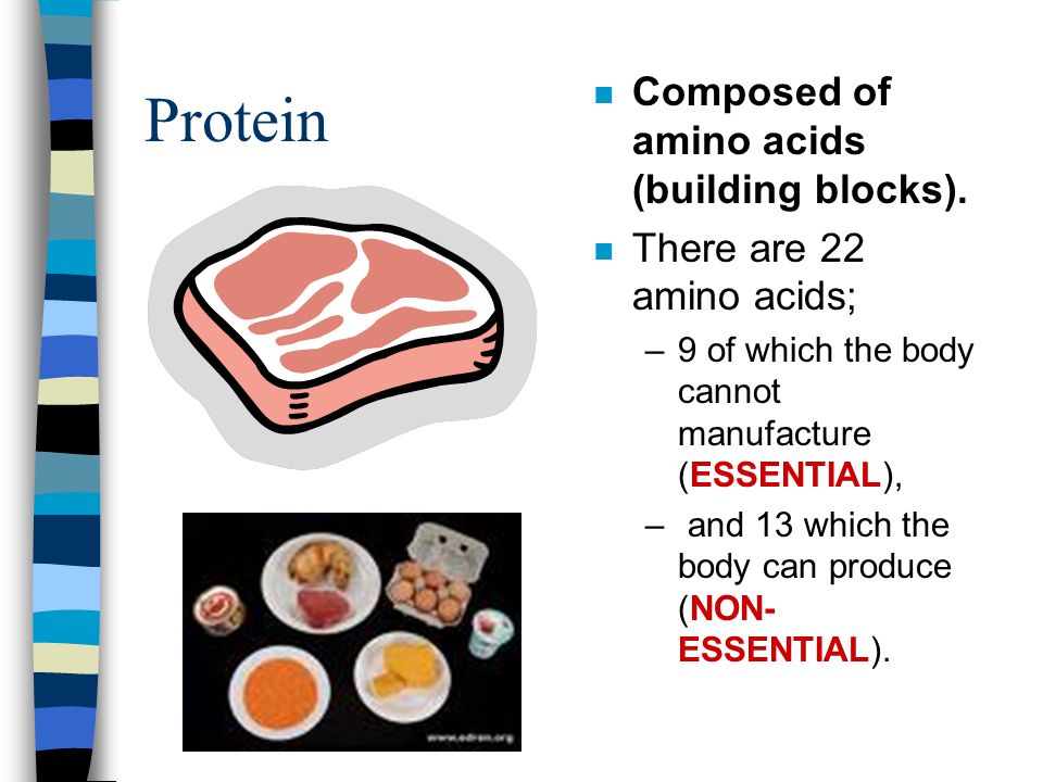 Protein Composed of amino acids (building blocks).