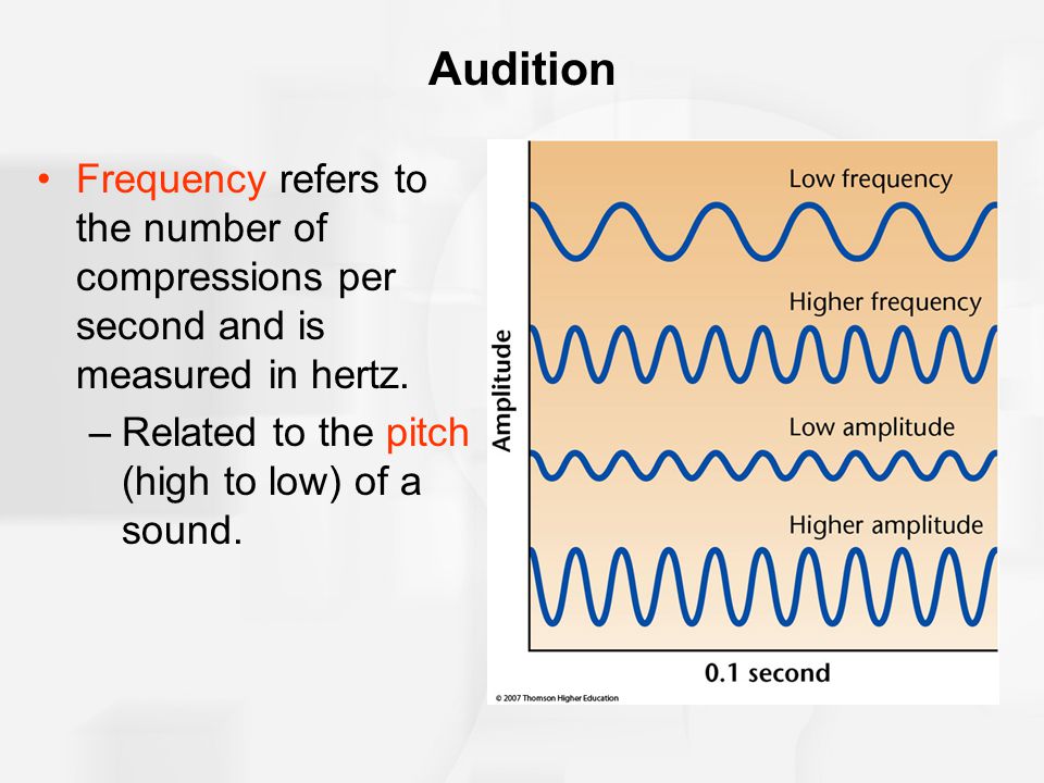 Audition Frequency refers to the number of compressions per second and is measured in hertz.