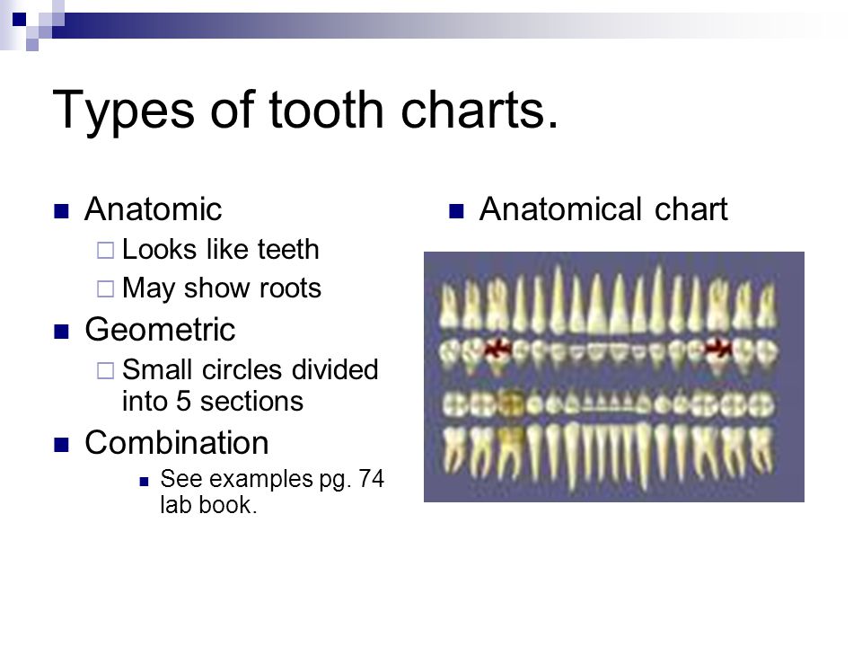 Dental Tooth Charting Exercises