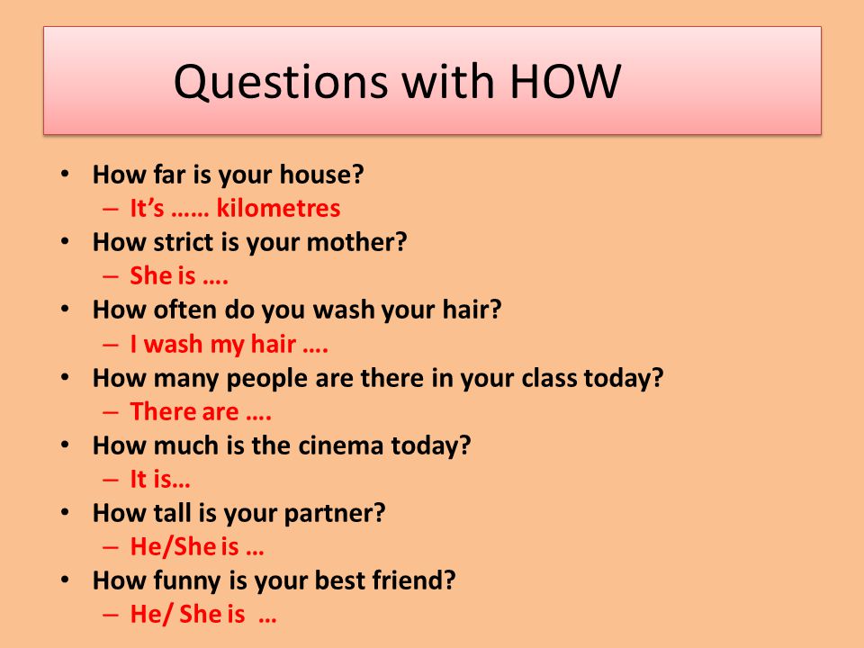 What with a partner answer. Вопросы с how. Вопросы с how many в английском. Types of questions презентация. Вопросы с how long на английском.