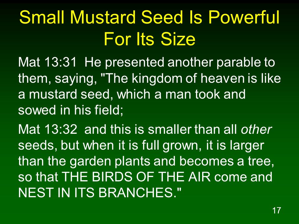 Small Mustard Seed Is Powerful For Its Size