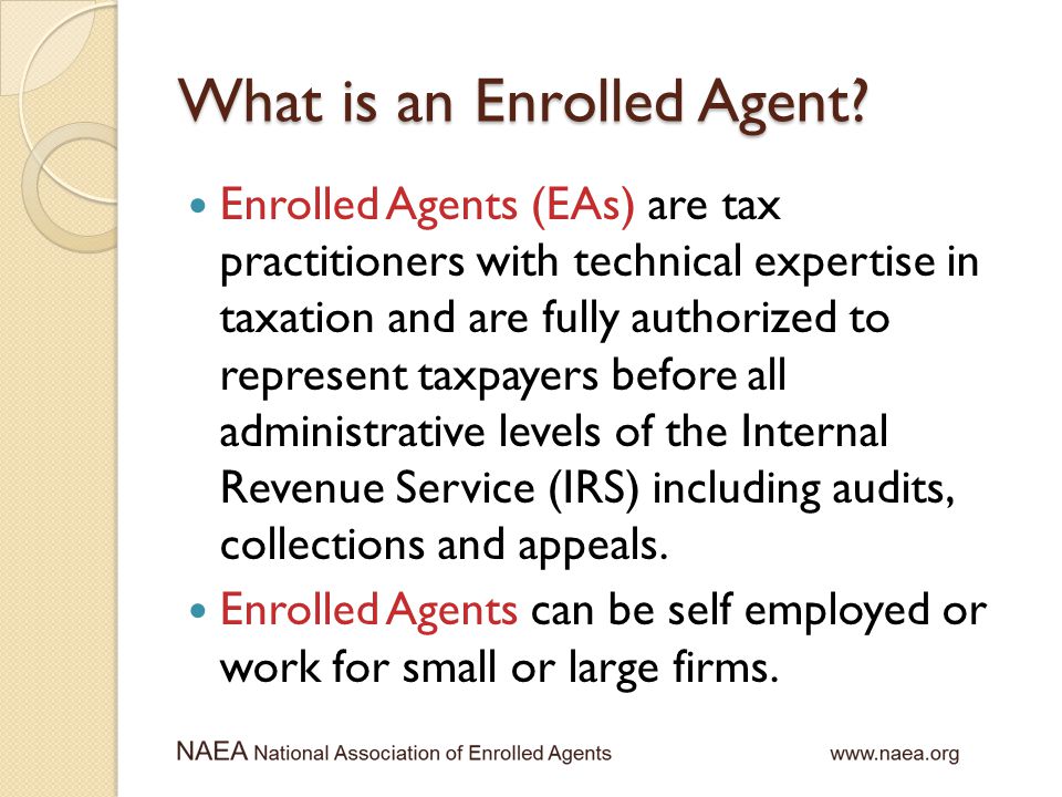 What is an Enrolled Agent