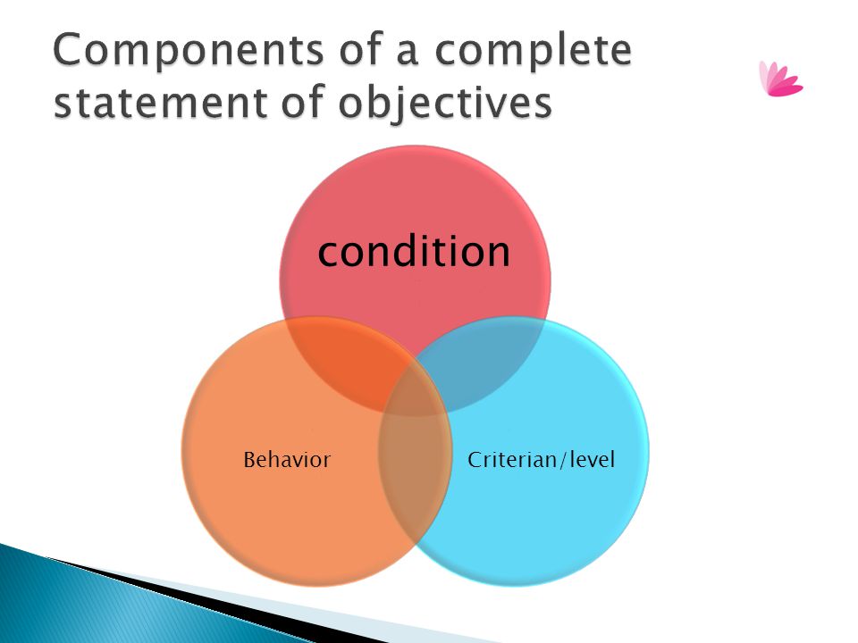 Components of a complete statement of objectives