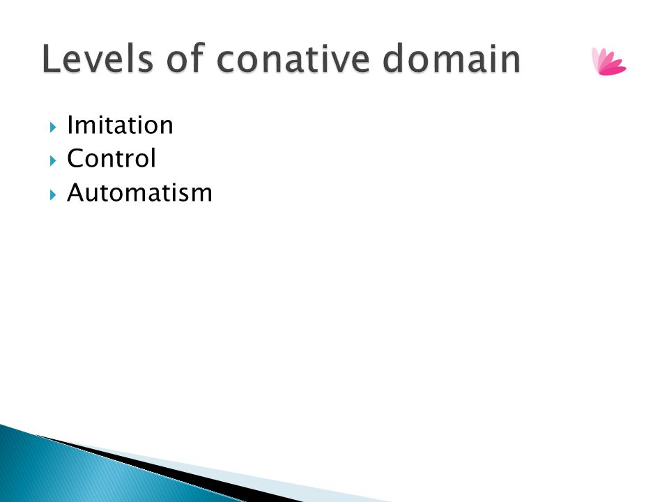 Levels of conative domain