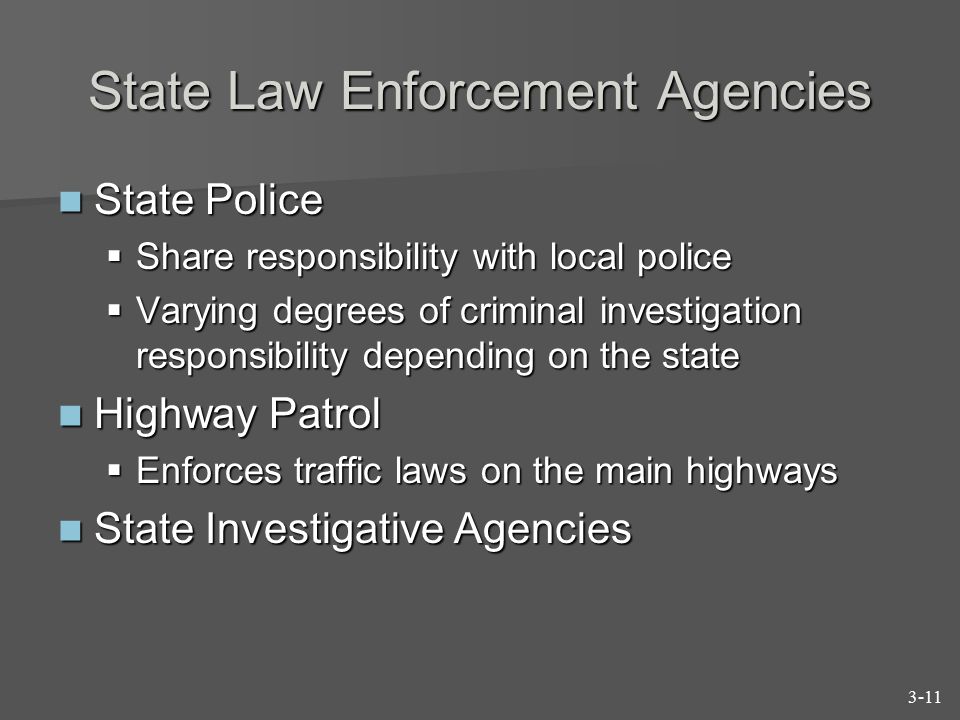 State Law Enforcement Agencies