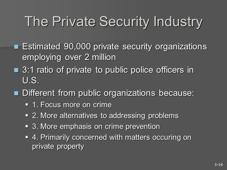 The Private Security Industry
