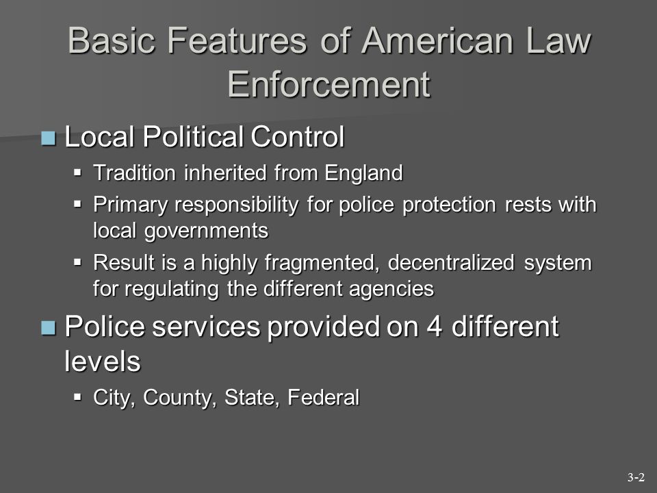 Basic Features of American Law Enforcement