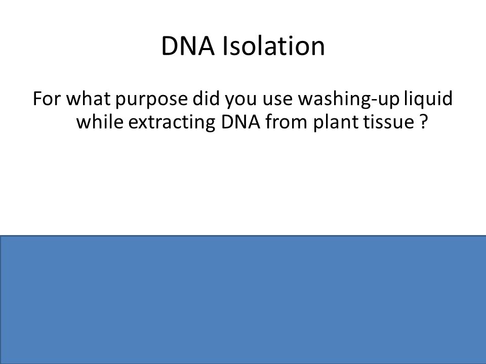 extracting dna from kiwi conclusion
