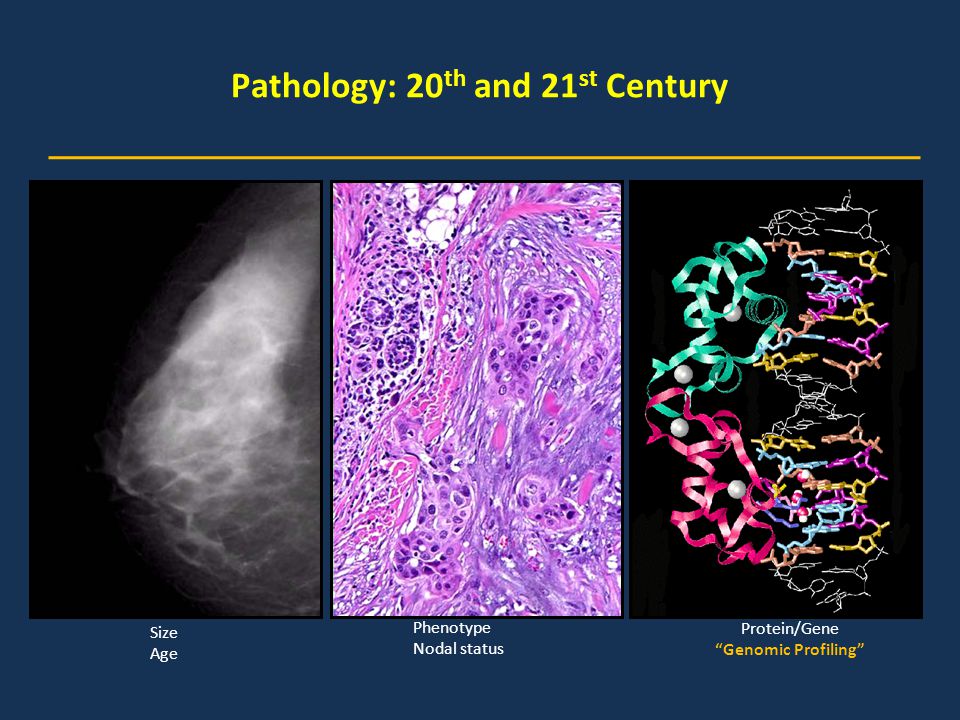 Pathology: 20th and 21st Century