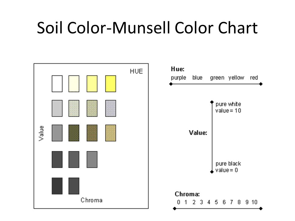 Soil Color Chart Online
