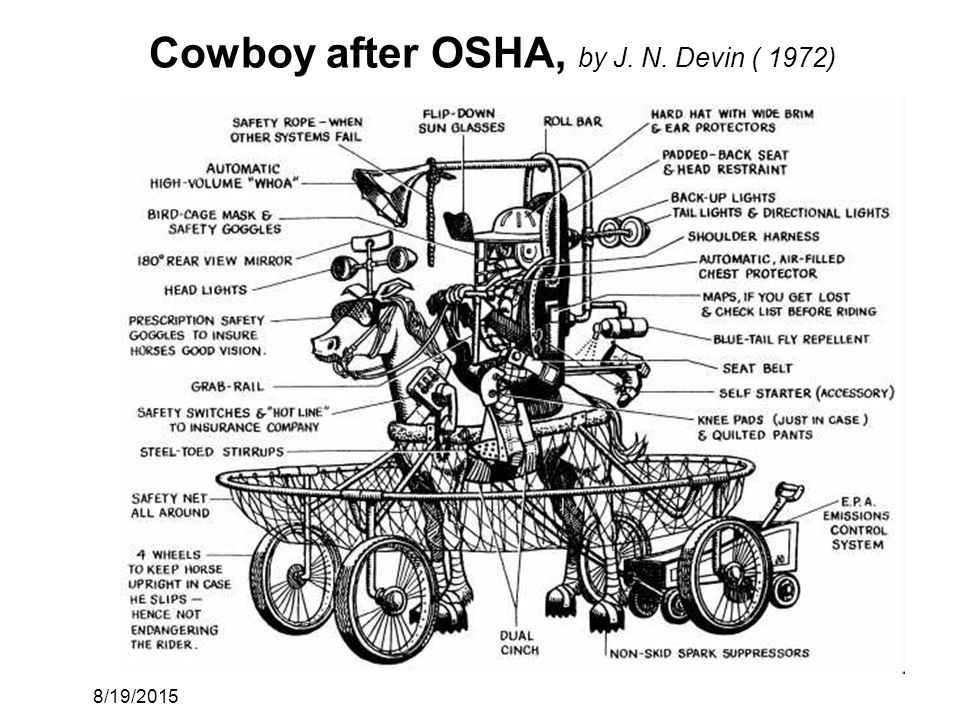Cowboy+after+OSHA,+by+J.+N.+Devin+(+1972).jpg