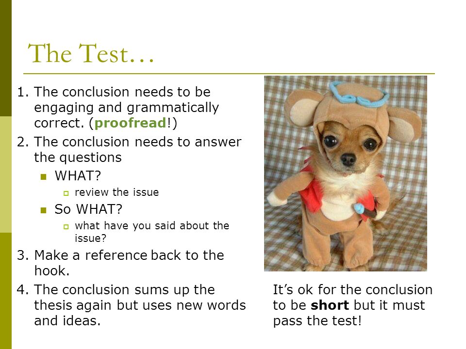 The Test… 1. The conclusion needs to be engaging and grammatically correct. (proofread!) 2. The conclusion needs to answer the questions.